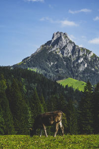 Scenic view of mountain range against sky