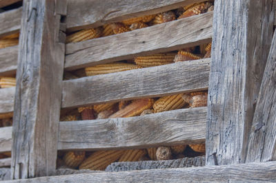 A storehouse of corn in the old-fashioned way