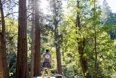 Rear view of young man standing against trees in forest