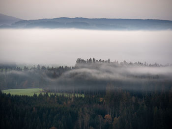 Panoramic shot of trees on landscape against sky