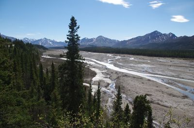 Scenic view of mountains against blue sky at denali national park