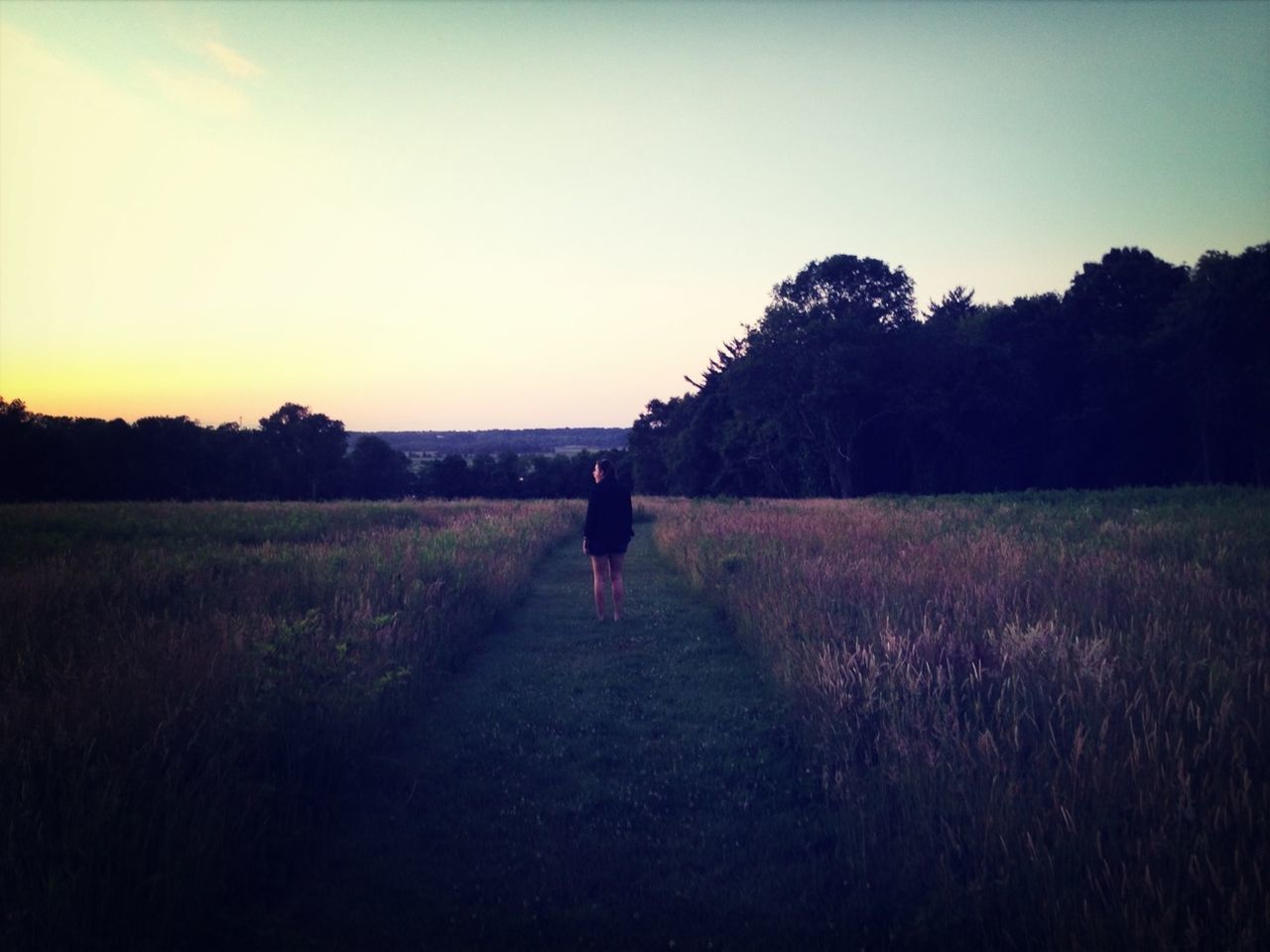 field, full length, lifestyles, rear view, grass, leisure activity, walking, landscape, standing, tranquility, tranquil scene, sky, tree, nature, clear sky, rural scene, men, person