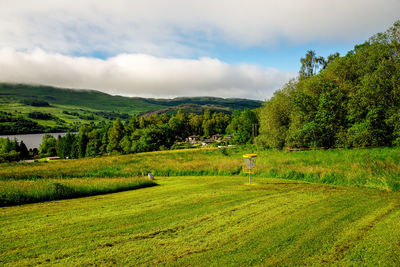 Scenic view of field against sky