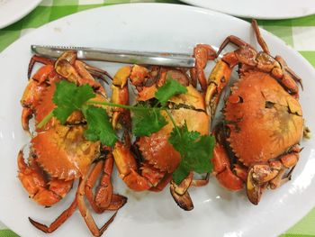 High angle view of meal served in plate