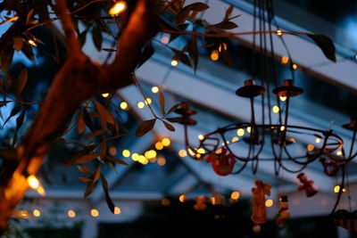 Low angle view of illuminated christmas tree at night