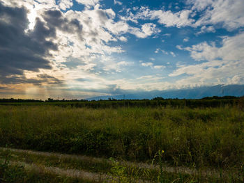 Scenic view of field against sky during sunset