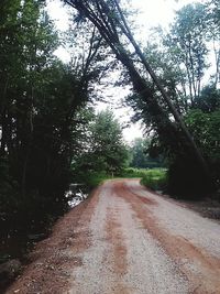 Road passing through forest