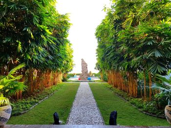 Footpath amidst trees in park against clear sky