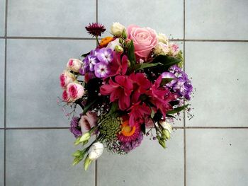 Close-up of pink flowers against wall