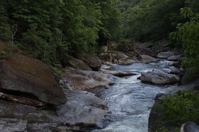 Stream flowing through rocks in forest