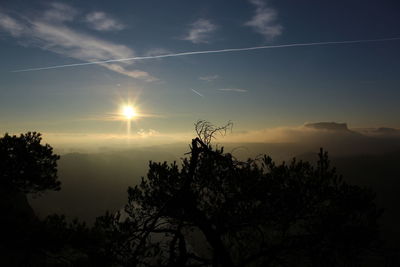 Low angle view of silhouette trees against sky during sunset