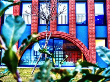 Plants growing by building