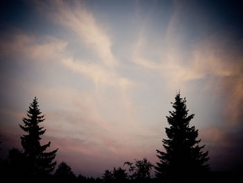 Low angle view of silhouette tree against sky during sunset