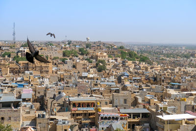 Panoramic view of bird flying against cityscape of the golden city of jaisalmer, india