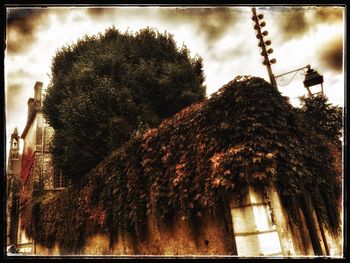 Low angle view of trees by building against sky