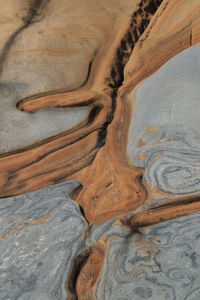 Full frame shot of rock formation at point lobos state reserve