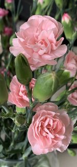 High angle view of rose bouquet