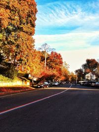 Road with trees in background