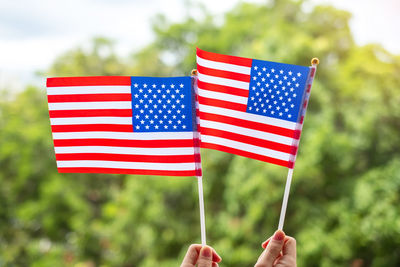 Close-up of hand holding flag