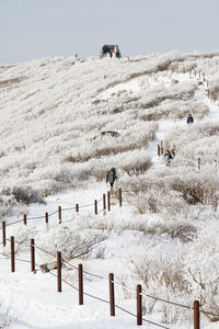 Scenic view of snow covered field