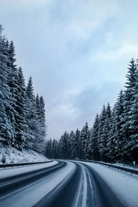 Road amidst snow covered trees against sky