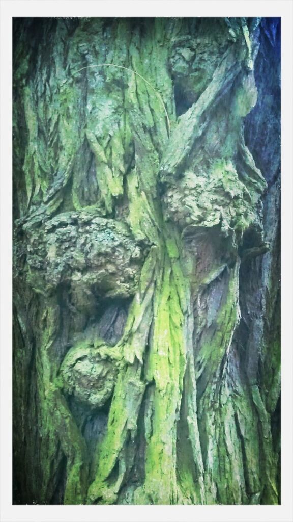 transfer print, textured, green color, tree, full frame, growth, nature, close-up, auto post production filter, backgrounds, rough, moss, tree trunk, natural pattern, no people, tranquility, day, outdoors, beauty in nature, bark