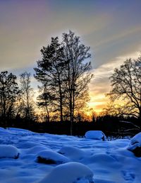 Trees on snow covered landscape against sky