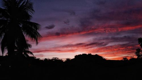 Silhouette trees against sky at sunset