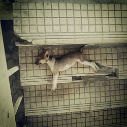Close-up of brick wall