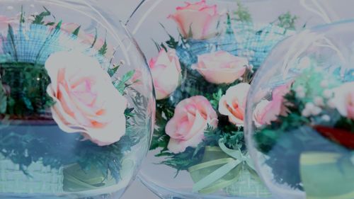 Close-up of flowers in glass container