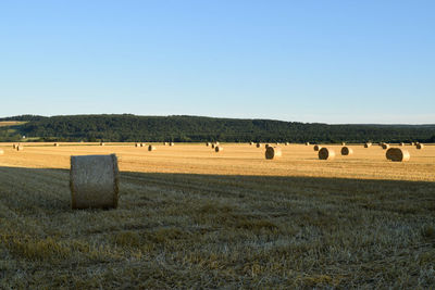 Hay bales on field against clear sky