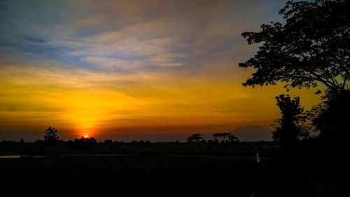 Scenic view of silhouette trees against sky during sunset