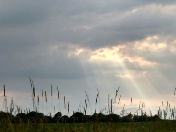 Scenic view of landscape against cloudy sky