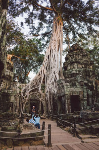 Man sitting on tree trunk against temple