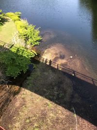 High angle view of plants by lake