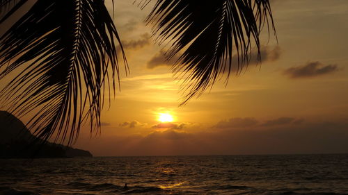 Silhouette palm tree by sea against sunset sky