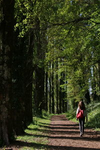 Rear view of woman walking in forest