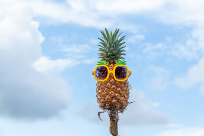 Low angle view of coconut palm tree against sky