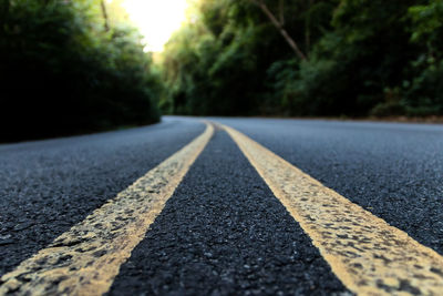 Surface level of empty road along trees