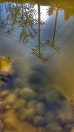 Reflection of trees in water