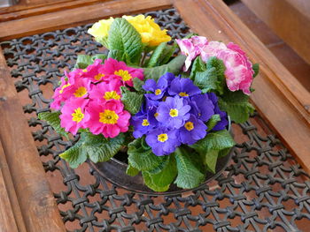 High angle view of pink potted plant