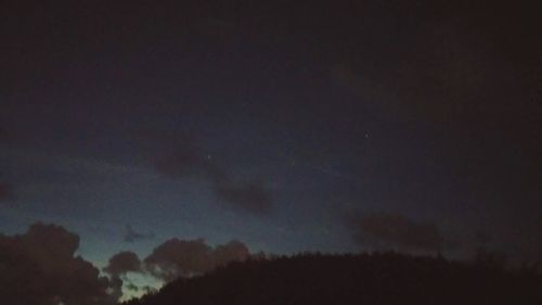 Low angle view of silhouette trees against sky at night