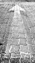 Full frame shot of paving stone