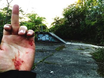 Cropped image of hand holding tree trunk