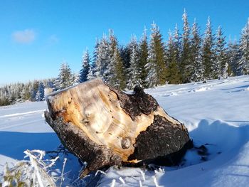 Snow on field against sky