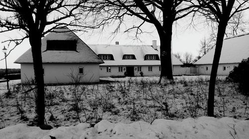 Houses and trees against sky