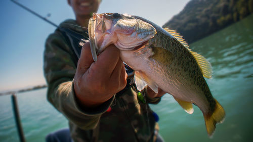 Man holding fish in sea