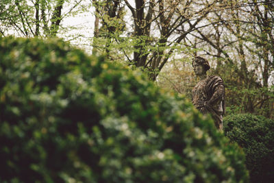 Stone statue in woods