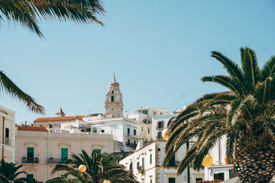 Palm trees and buildings against sky in city