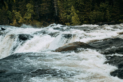 Scenic view of waterfall in forest